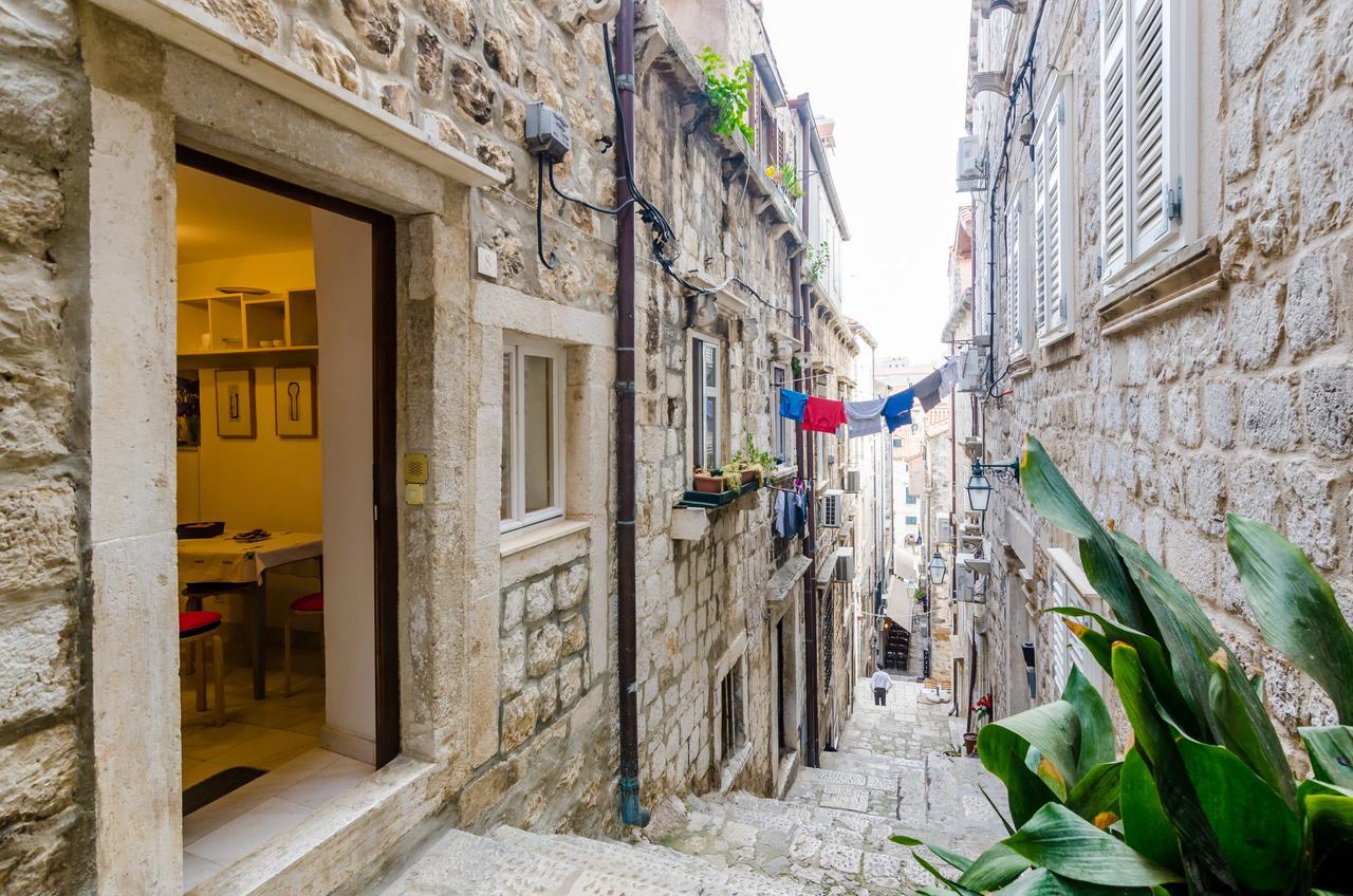 Apartma Art House Zanze